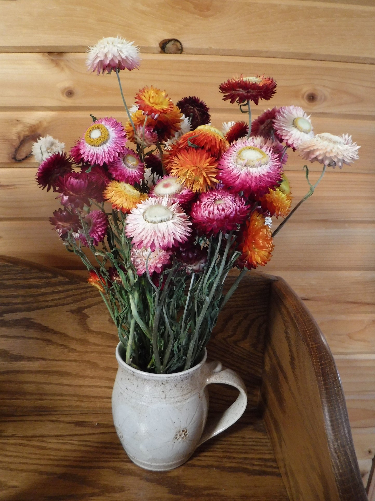 Dried Strawflowers With Stems, Dried Strawflowers, Dried Flowers With Stems, Craft Supply, Dried Straw Flowers, Real Dried Flowers, Craft