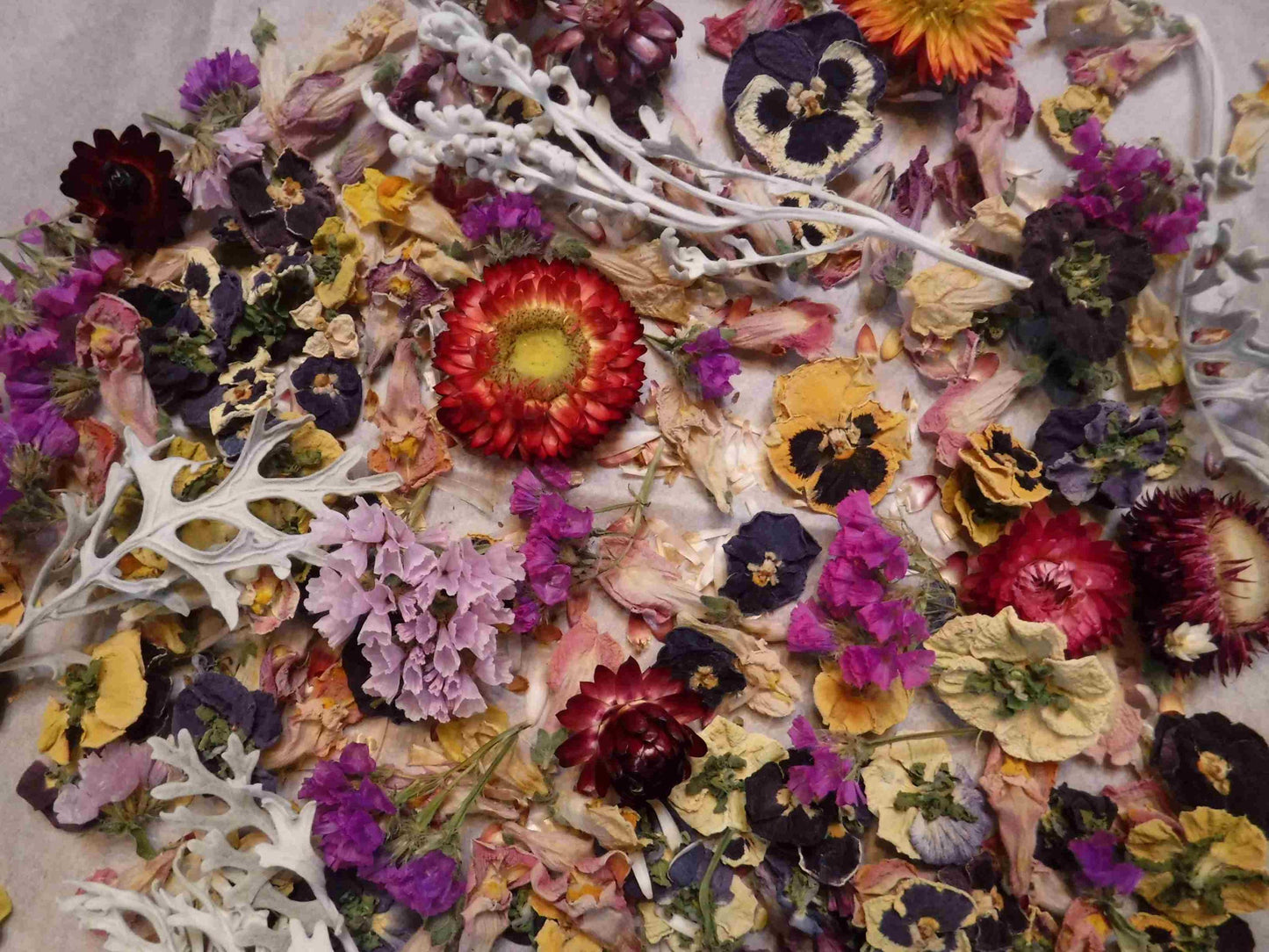 Dried Flowers, Dried Plant Material, Loose Dried Flowers, Resin Flowers, Dry Craft Flowers, Bulk Dry Flowers, Flower Confetti, Gift