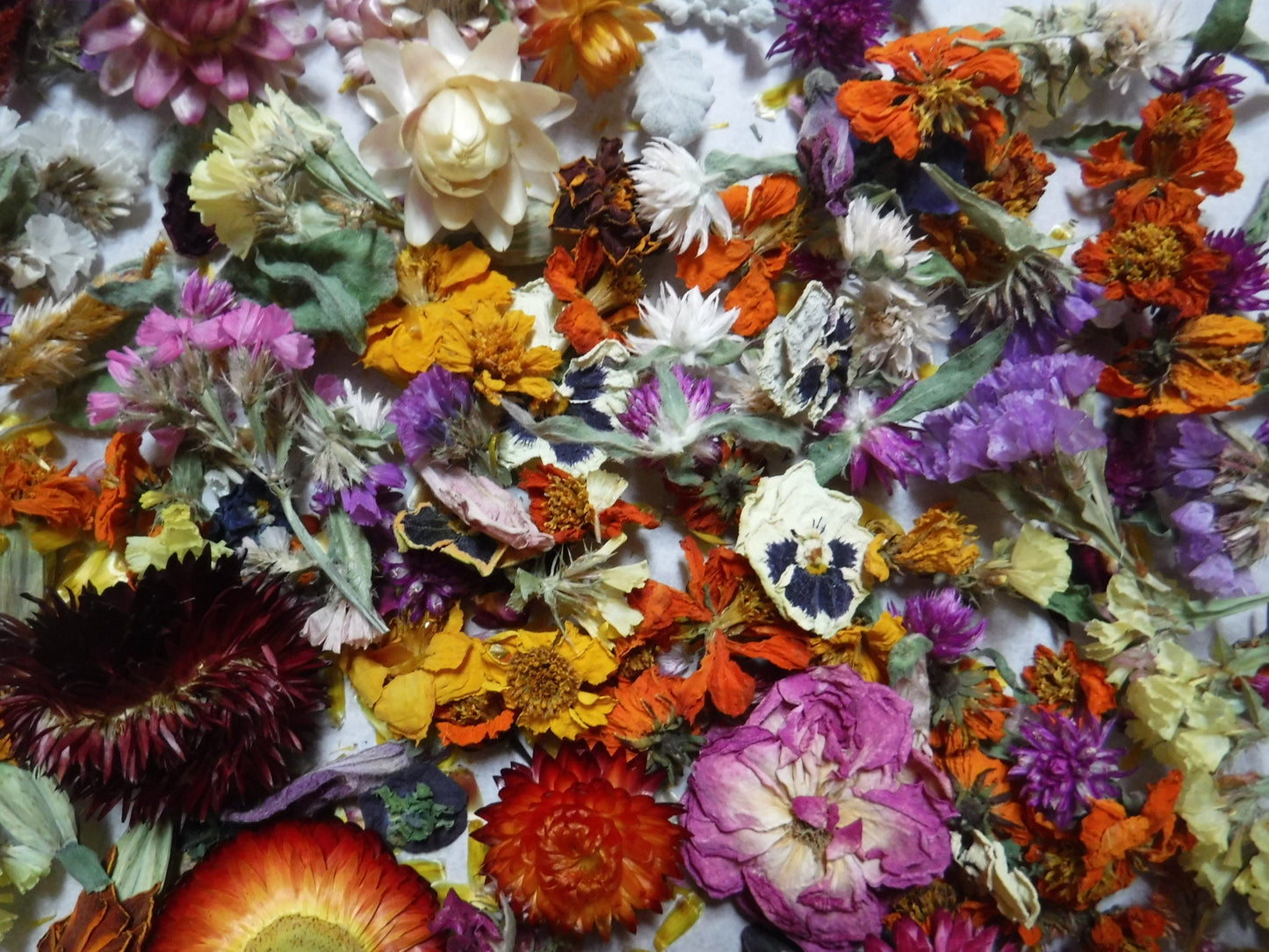 2 Cups Dried Flowers, Dried Plant Material, Loose Dried Flowers, Resin Flowers, Whole Dried Flower, Dry Craft Flowers, Bulk Dry Flowers