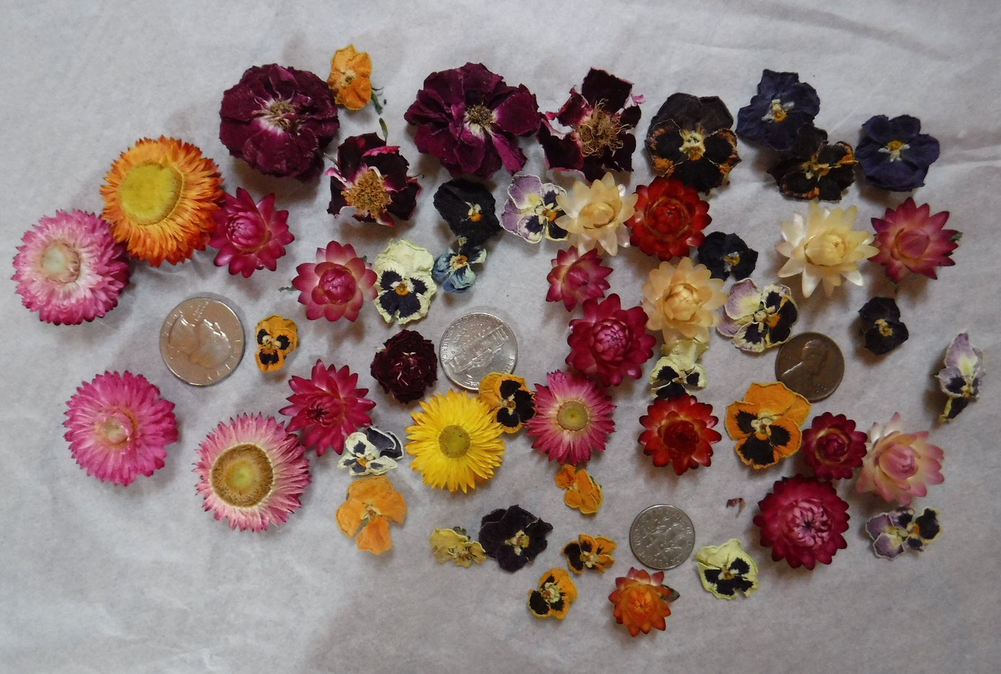 50 Whole Dried Flowers, Bowl Filler, Wedding Table Decor, Resin Flowers, Real Dried Flowers, Strawflowers, Pansies, Roses,