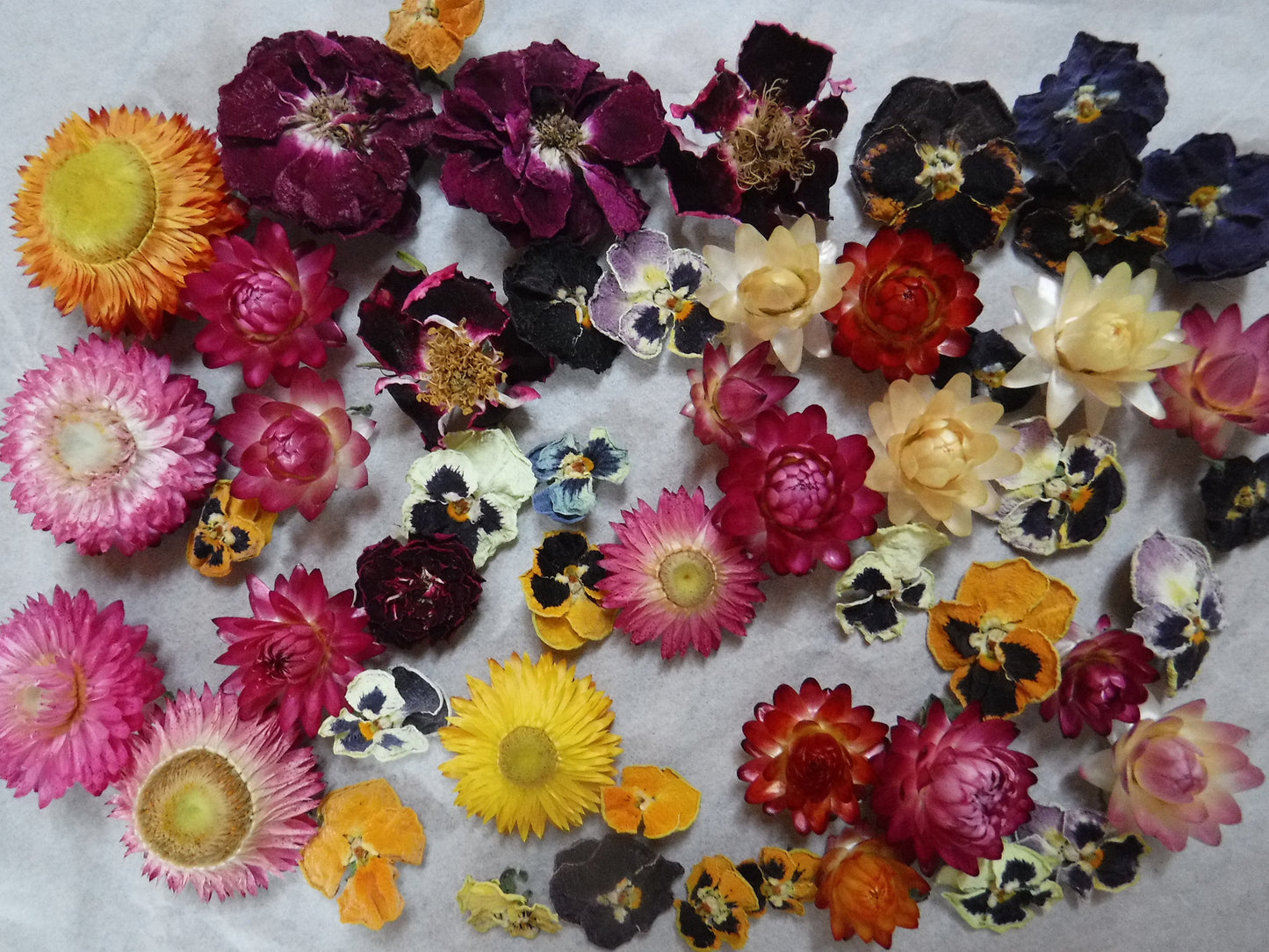 50 Whole Dried Flowers, Bowl Filler, Wedding Table Decor, Resin Flowers, Real Dried Flowers, Strawflowers, Pansies, Roses,