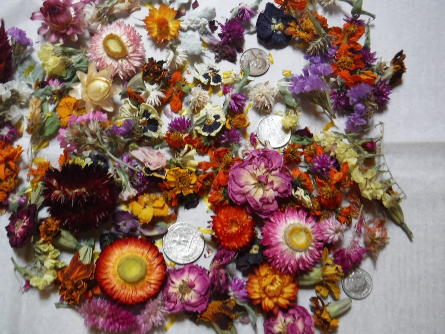 2 Cups Dried Flowers, Dried Plant Material, Loose Dried Flowers, Resin Flowers, Whole Dried Flower, Dry Craft Flowers, Bulk Dry Flowers