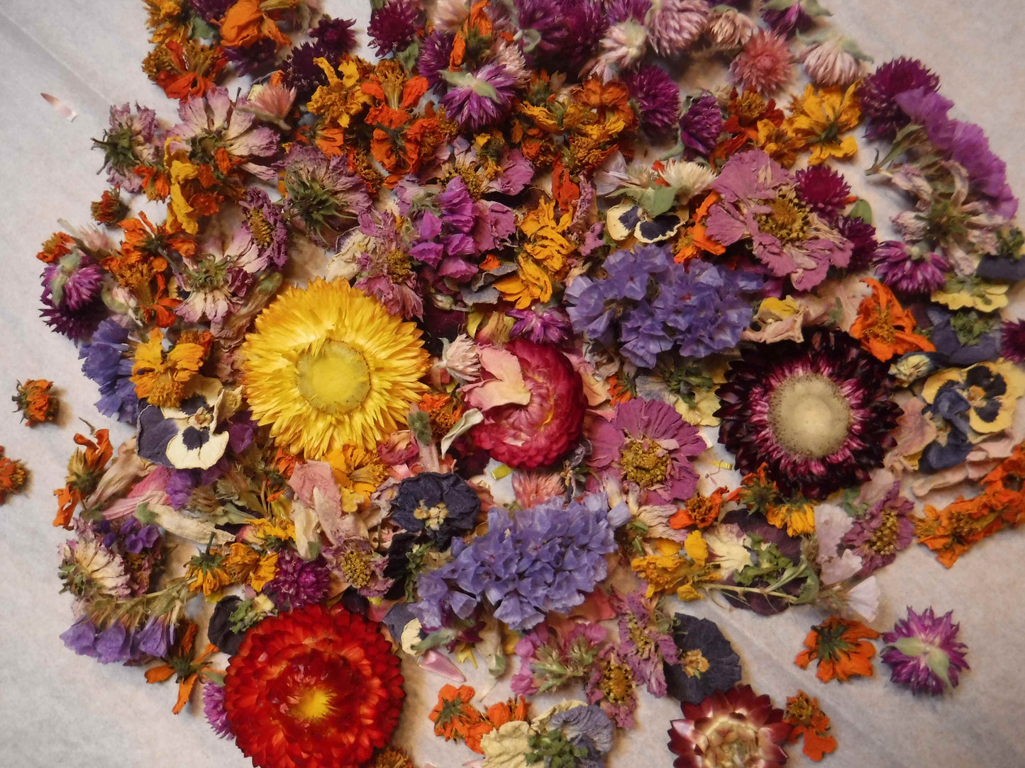 10 Cups Bulk Dried Flowers, Bowl Filler, Bulk Wedding Table Decor, Resin Flowers, Bulk Dried Flowers Mix, Bulk Flower, Table Flower Confetti