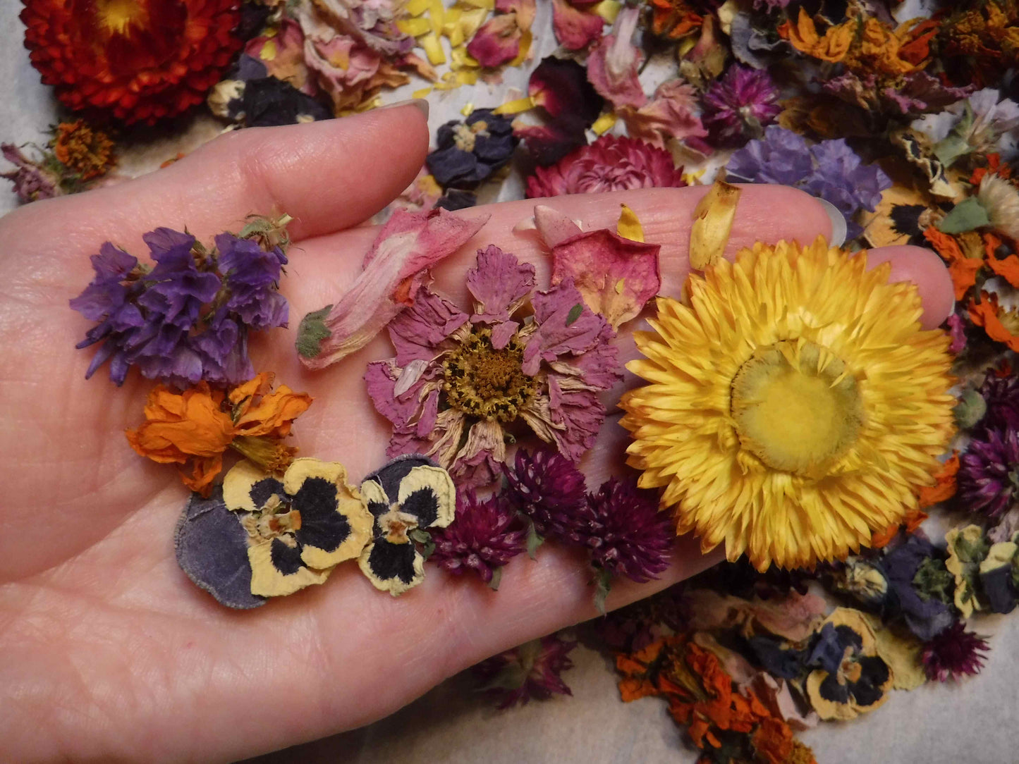 Dried Flowers, Dried Plant Material, Loose Dried Flowers, Resin Flowers, Dry Craft Flowers, Bulk Dry Flowers, Flower Confetti, Gift