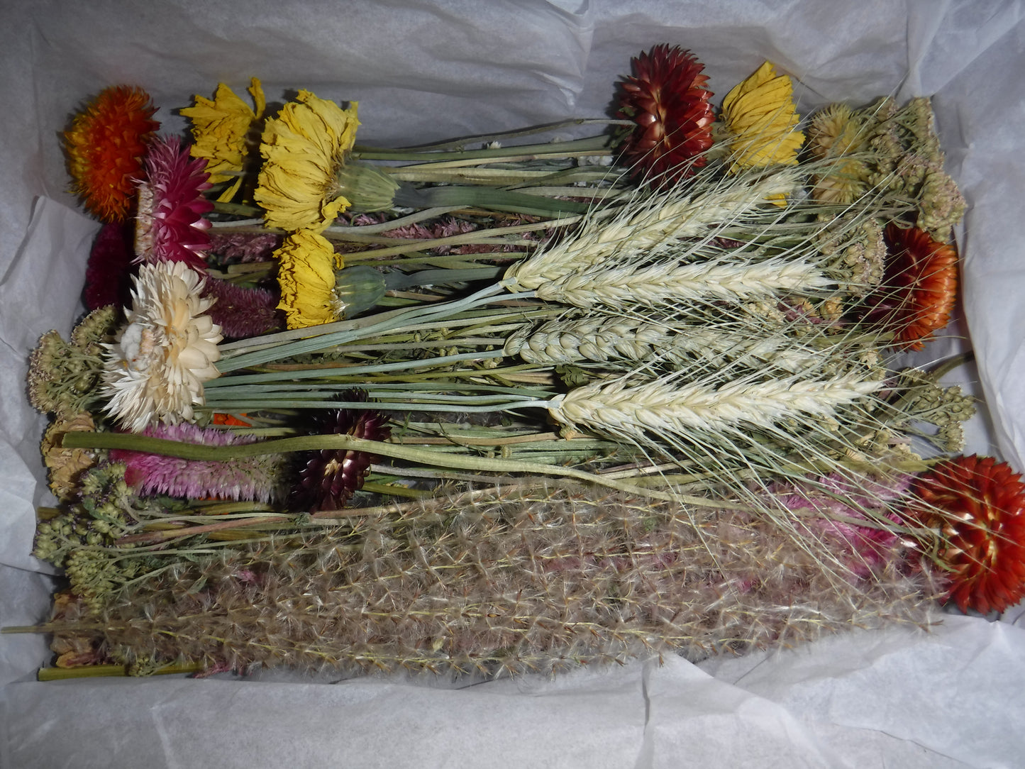 Dried Flower Box, Dried Flower Stems, DIY Wedding Decor, Vase Filler, Floral Home Decor, Bulk Dried Flowers, Craft Flowers, DIY Wreath, Gift