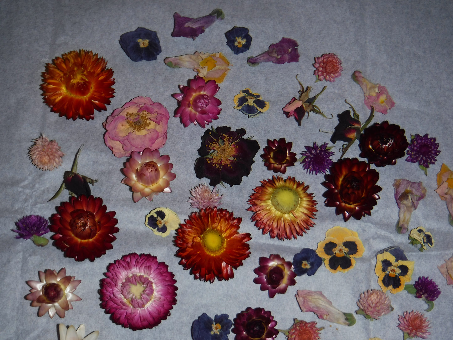 Whole Dried Flowers, Bowl Filler, Wedding Table Decor, Resin Flowers, Real Dried Flowers, Strawflowers, Pansies, Roses