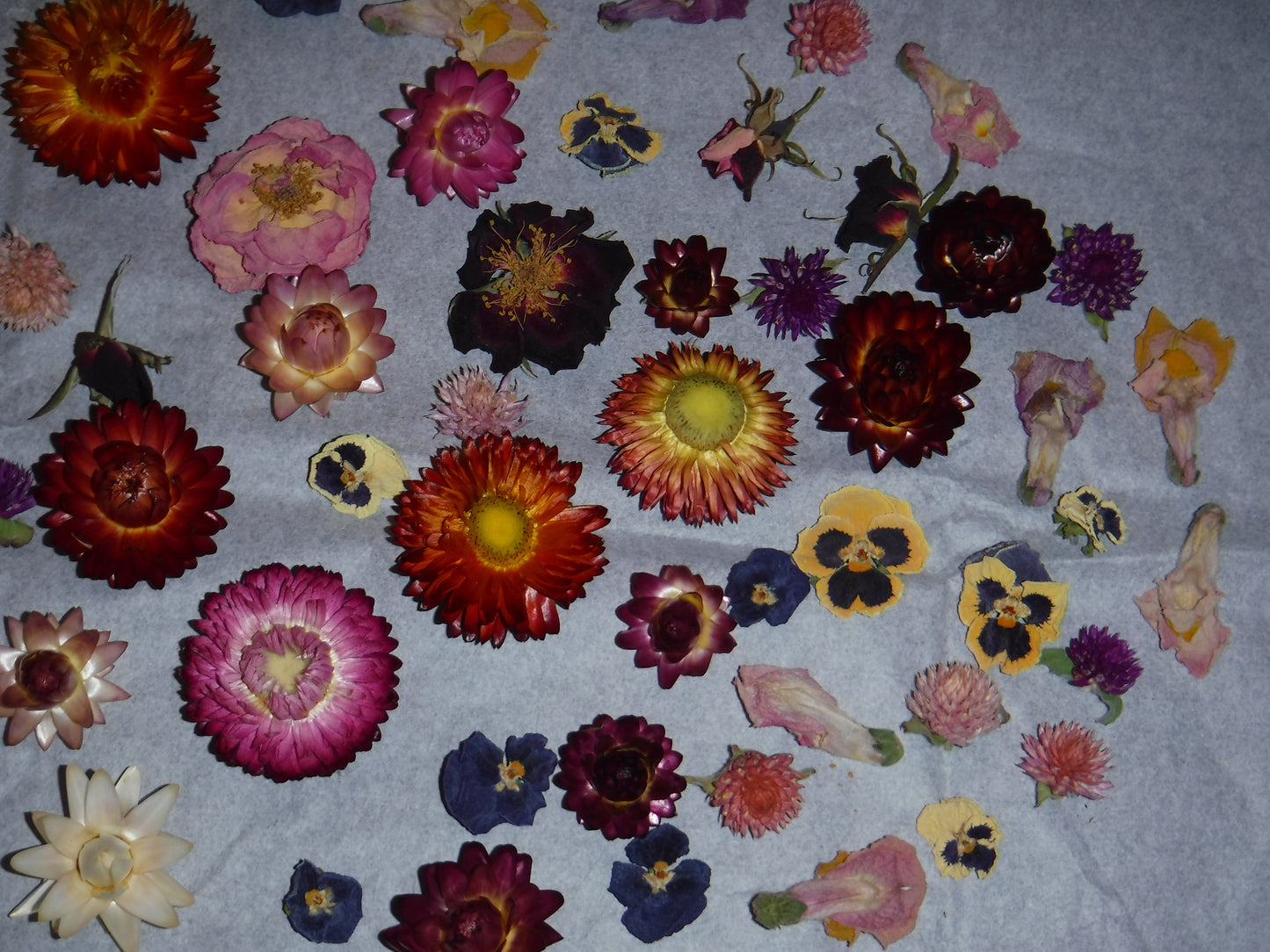 Whole Dried Flowers, Bowl Filler, Wedding Table Decor, Resin Flowers, Real Dried Flowers, Strawflowers, Pansies, Roses