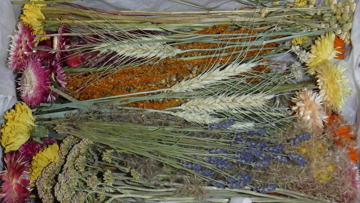 Dried Flower Box, Dried Flower Stems, DIY Wedding Decor, Vase Filler, Floral Home Decor, Bulk Dried Flowers, Craft Flowers, DIY Wreath, Gift
