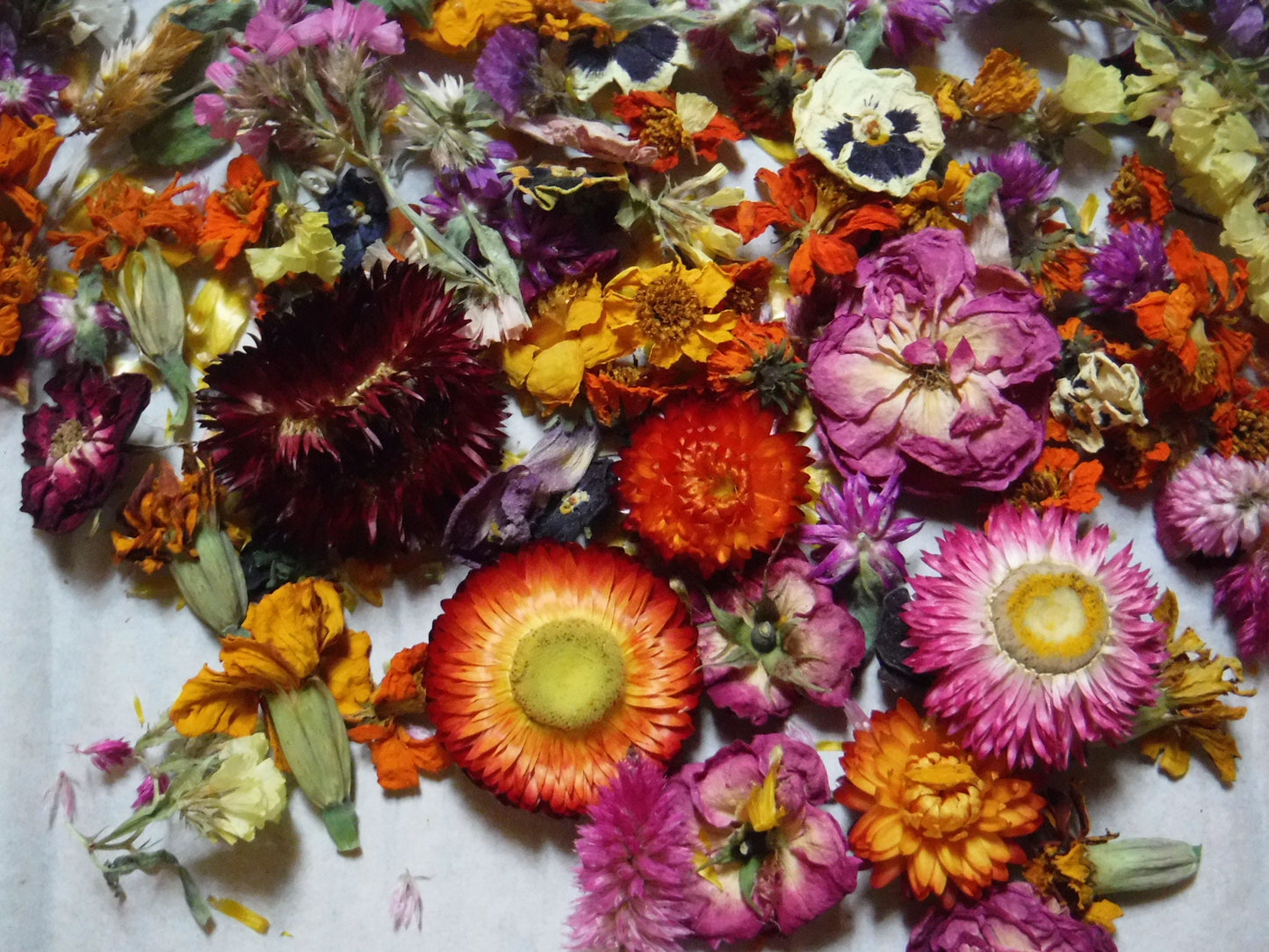 2 Cups Dried Flowers, Dried Plant Material, Loose Dried Flowers, Resin Flowers, Whole Dried Flower, Dry Craft Flowers, Bulk Dry Flowers