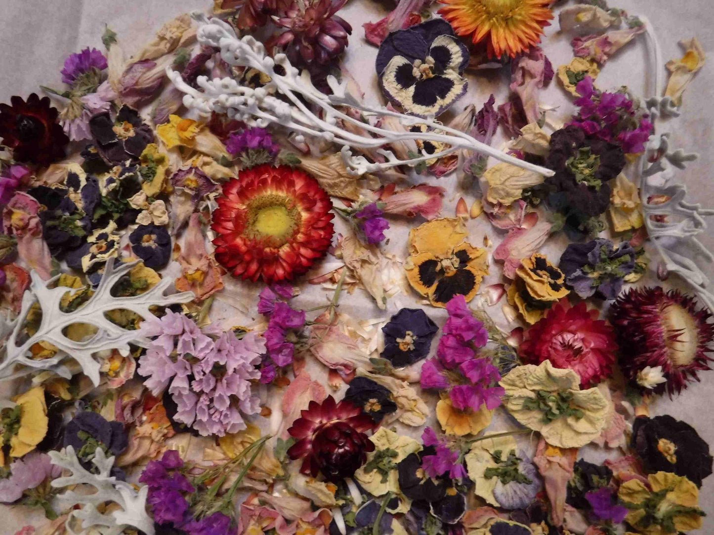 Dried Flowers, Dried Plant Material, Loose Dried Flowers, Resin Flowers, Dry Craft Flowers, Bulk Dry Flowers, Flower Confetti, Gift