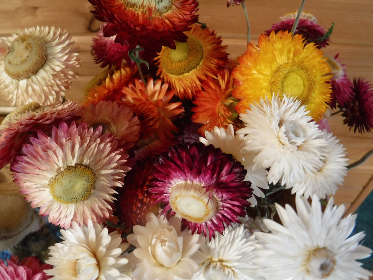 Dried Strawflowers With Stems, Dried Strawflowers, Dried Flowers With Stems, Craft Supply, Dried Straw Flowers, Real Dried Flowers, Craft