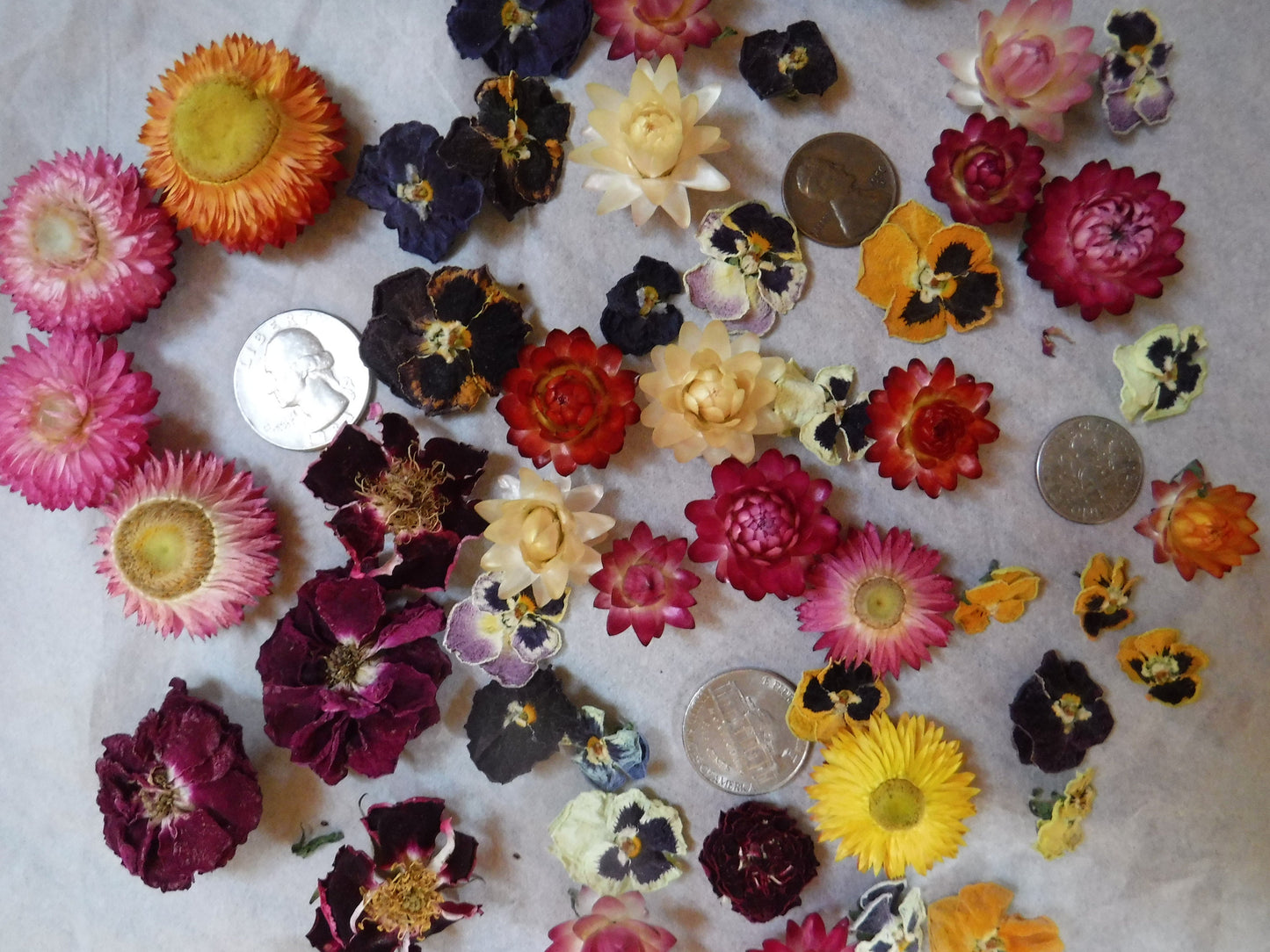 50 Whole Dried Flowers, Bowl Filler, Wedding Table Decor, Resin Flowers, Real Dried Flowers, Strawflowers, Pansies, Roses,
