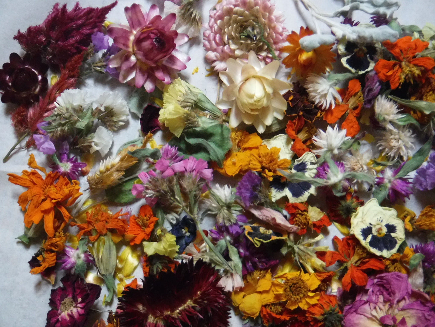 2 Cups Dried Flowers, Dried Plant Material, Loose Dried Flowers, Resin Flowers, Whole Dried Flower, Dry Craft Flowers, Bulk Dry Flowers