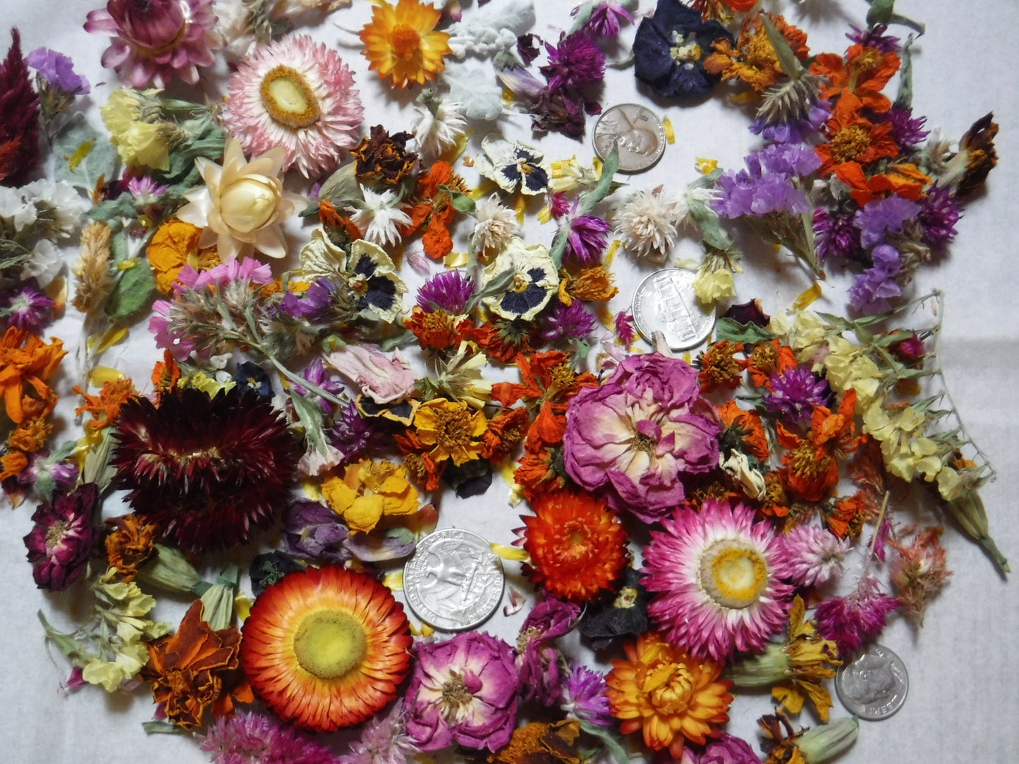 2 Cups Dried Flowers, Dried Plant Material, Loose Dried Flowers, Resin Flowers, Whole Dried Flower, Dry Craft Flowers, Bulk Dry Flowers