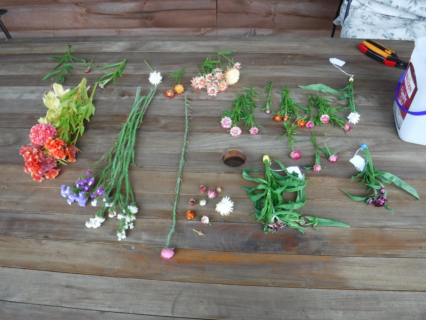 25 Dried Strawflower Heads Mixed Colors