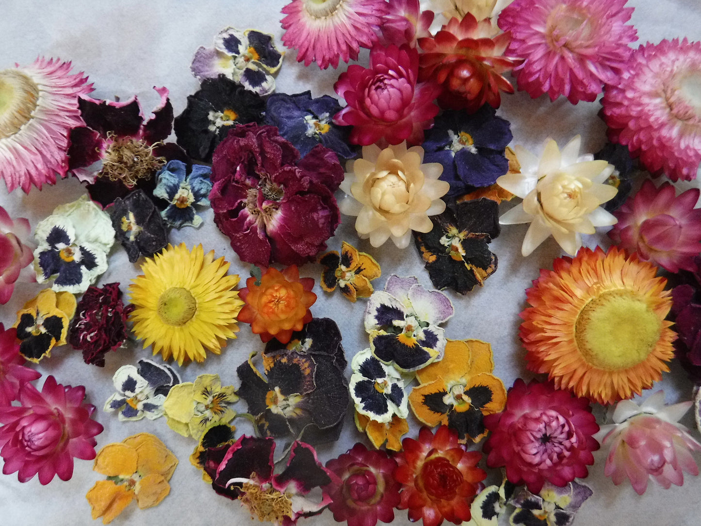 50 Whole Dried Flowers, Bowl Filler, Wedding Table Decor, Resin Flowers, Real Dried Flowers, Strawflowers, Pansies, Roses,