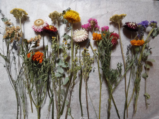 Dried Flower Stems, Dried Flower Arrangement, Dried Flower Bouquet, bohemian wildflower bouquet, Vase Filler, Floral Home Decor, Desk Decor
