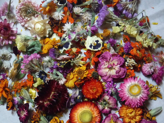 2 Cups Dried Flowers, Dried Plant Material, Loose Dried Flowers, Resin Flowers, Whole Dried Flower, Dry Craft Flowers, Bulk Dry Flowers