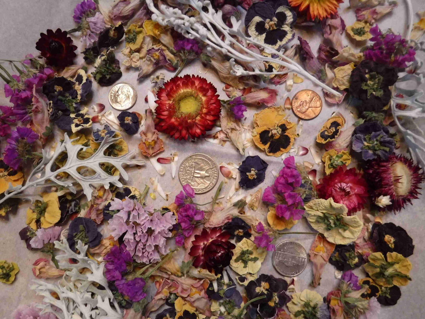 Dried Flowers, Dried Plant Material, Loose Dried Flowers, Resin Flowers, Dry Craft Flowers, Bulk Dry Flowers, Flower Confetti, Gift
