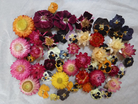 50 Whole Dried Flowers, Bowl Filler, Wedding Table Decor, Resin Flowers, Real Dried Flowers, Strawflowers, Pansies, Roses,