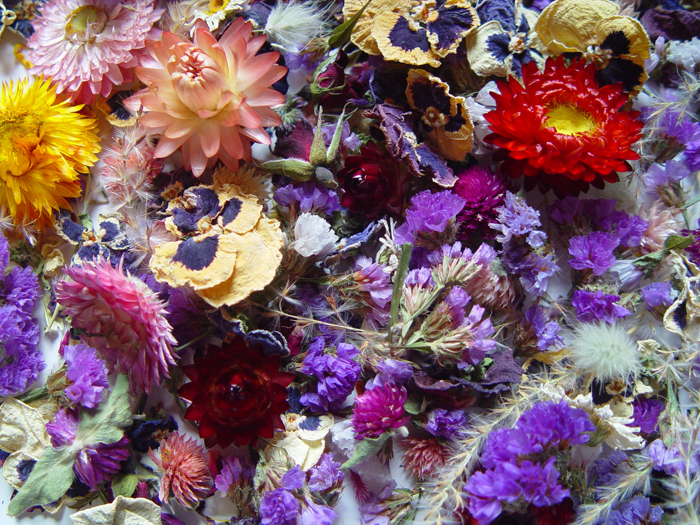 Dried Flower Mix