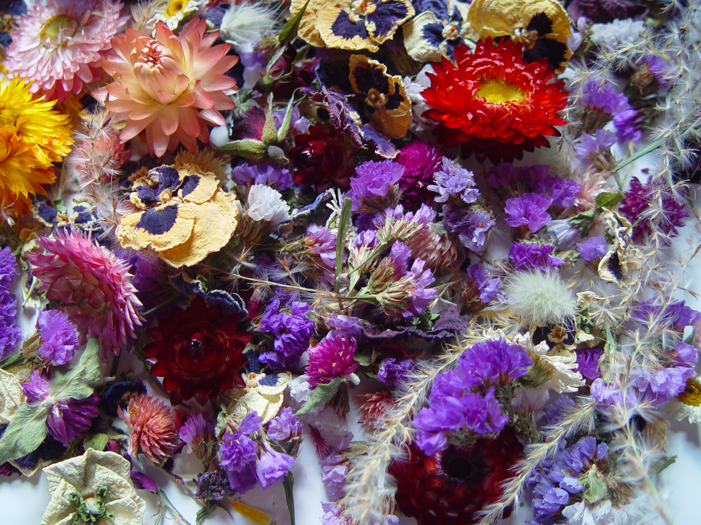 Dried Flower Mix