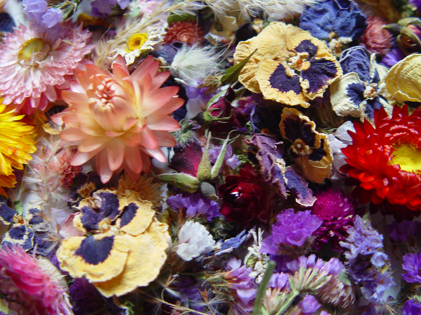 Dried Flower Mix