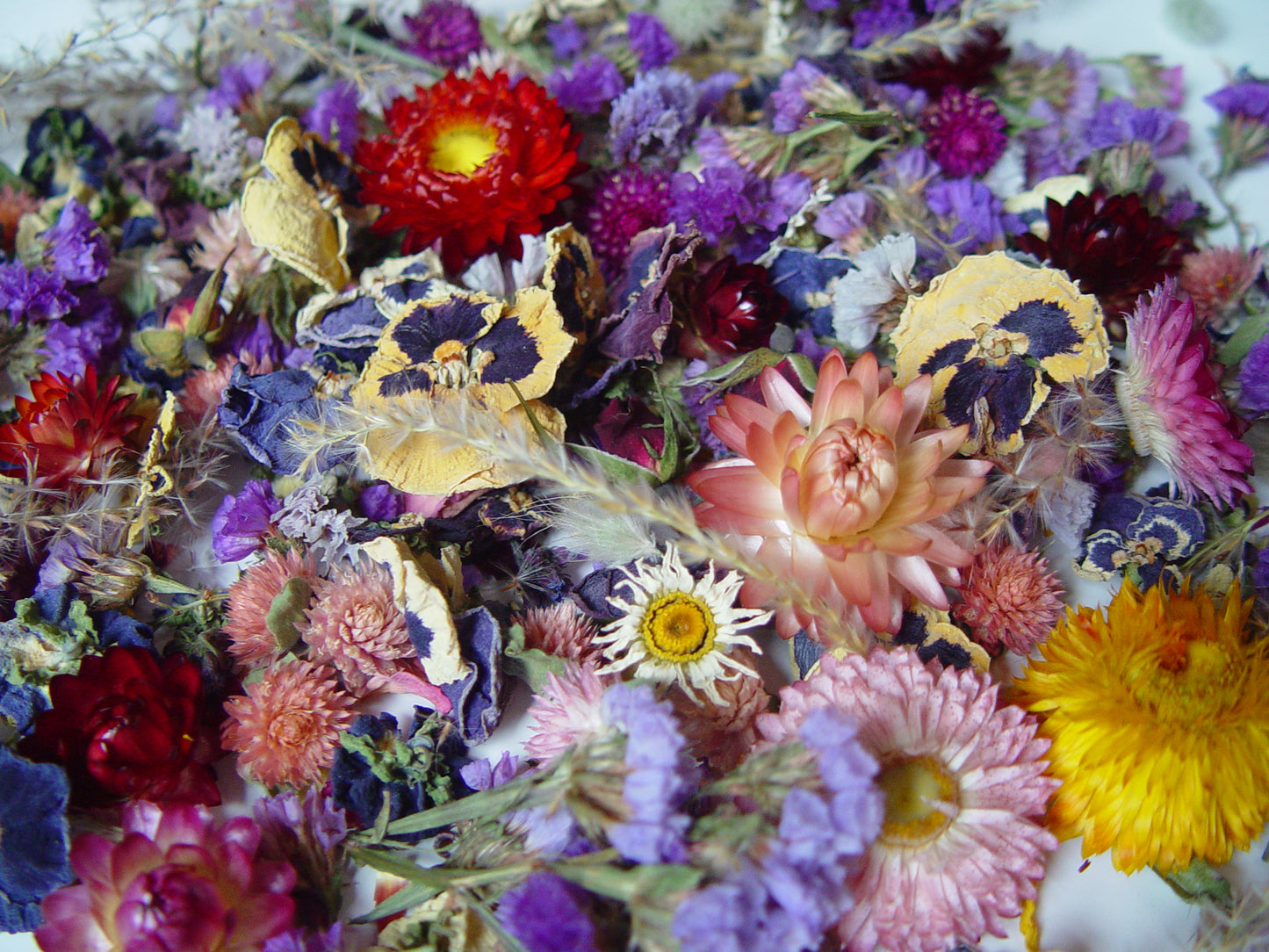Dried Flower Mix