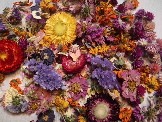 10 Cups Bulk Dried Flowers, Bowl Filler, Bulk Wedding Table Decor, Resin Flowers, Bulk Dried Flowers Mix, Bulk Flower, Table Flower Confetti