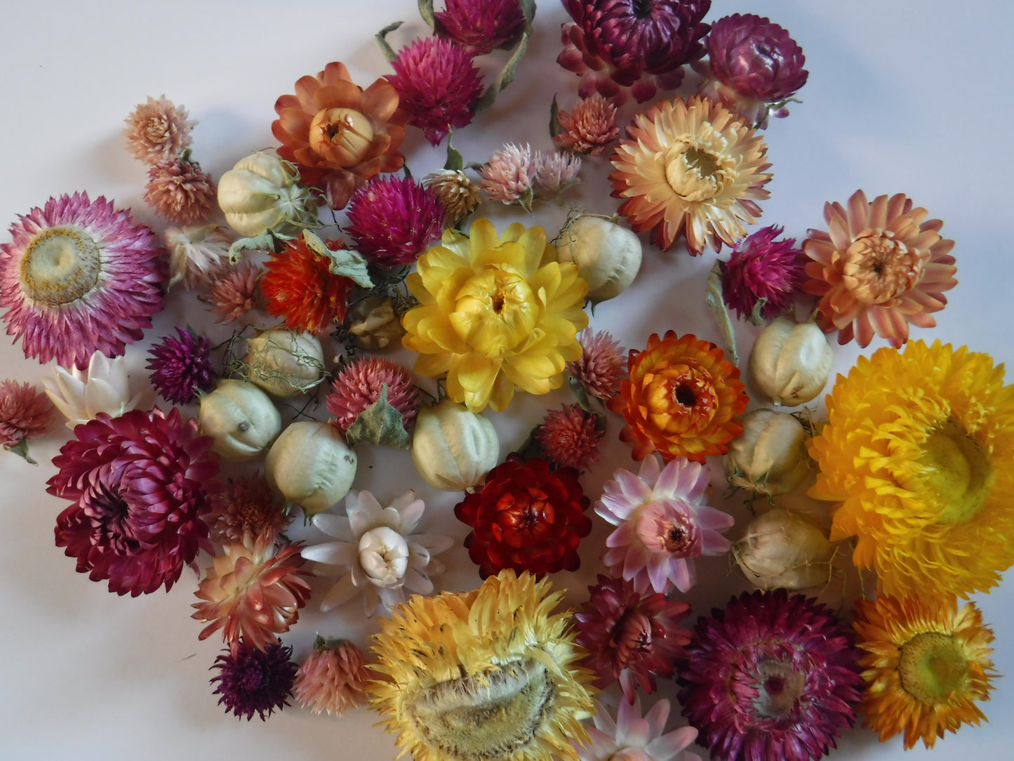 50 Whole Dried Mixed Flowers