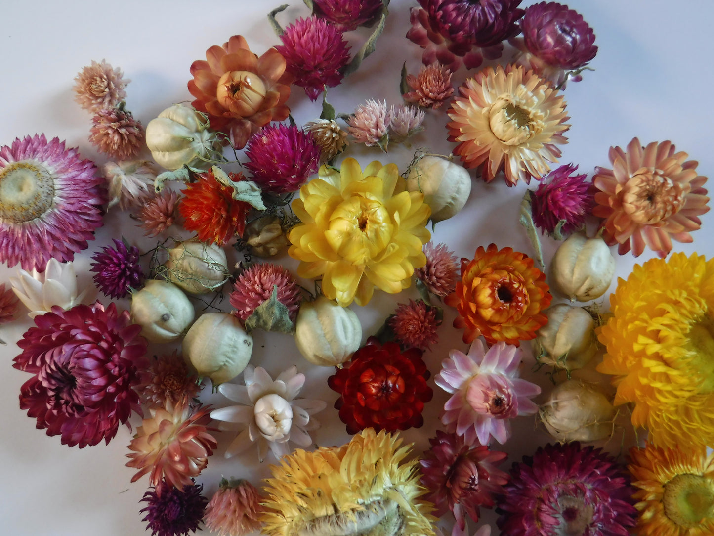 50 Whole Dried Mixed Flowers