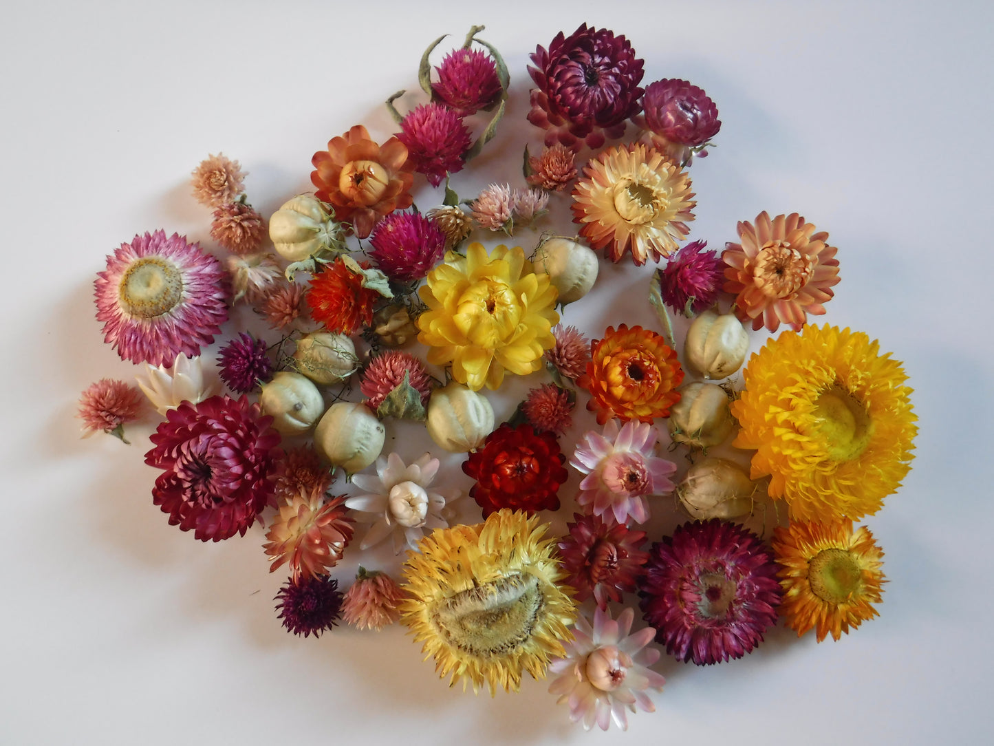 50 Whole Dried Mixed Flowers