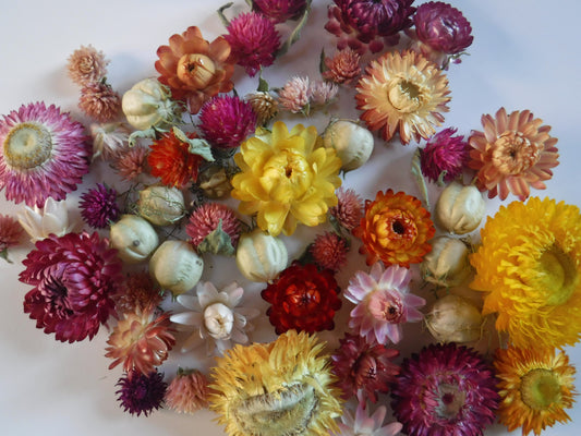 50 Whole Dried Mixed Flowers