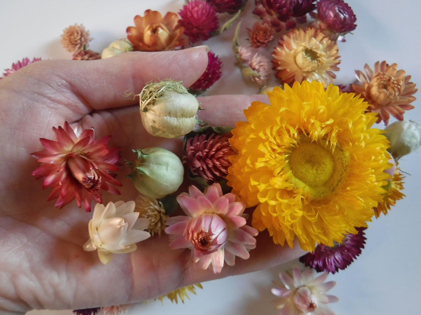 50 Whole Dried Mixed Flowers