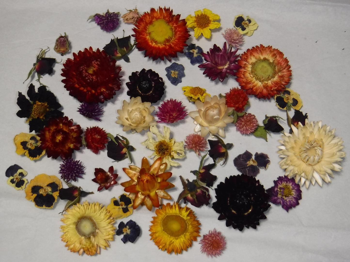 50 Whole Dried Mixed Flower Heads