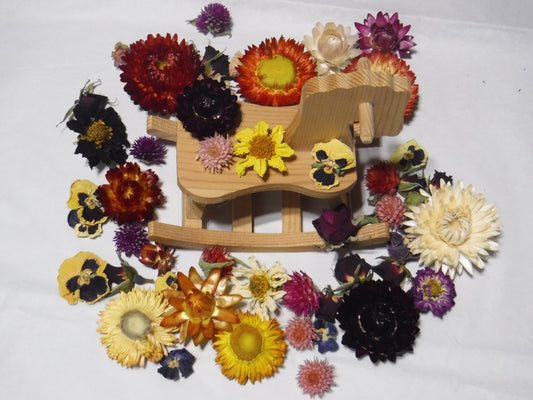 50 Whole Dried Mixed Flower Heads