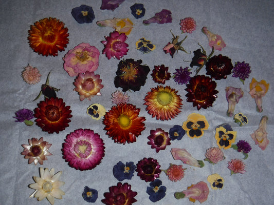 Whole Dried Flowers, Bowl Filler, Wedding Table Decor, Resin Flowers, Real Dried Flowers, Strawflowers, Pansies, Roses