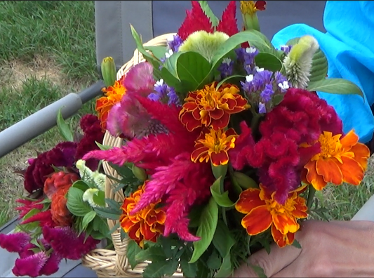 Coming Soon!! Fresh Cut Flower Bouquets