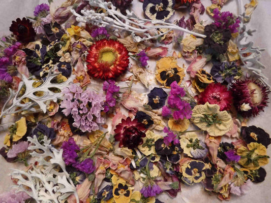 Dried Flowers, Dried Plant Material, Loose Dried Flowers, Resin Flowers, Dry Craft Flowers, Bulk Dry Flowers, Flower Confetti, Gift