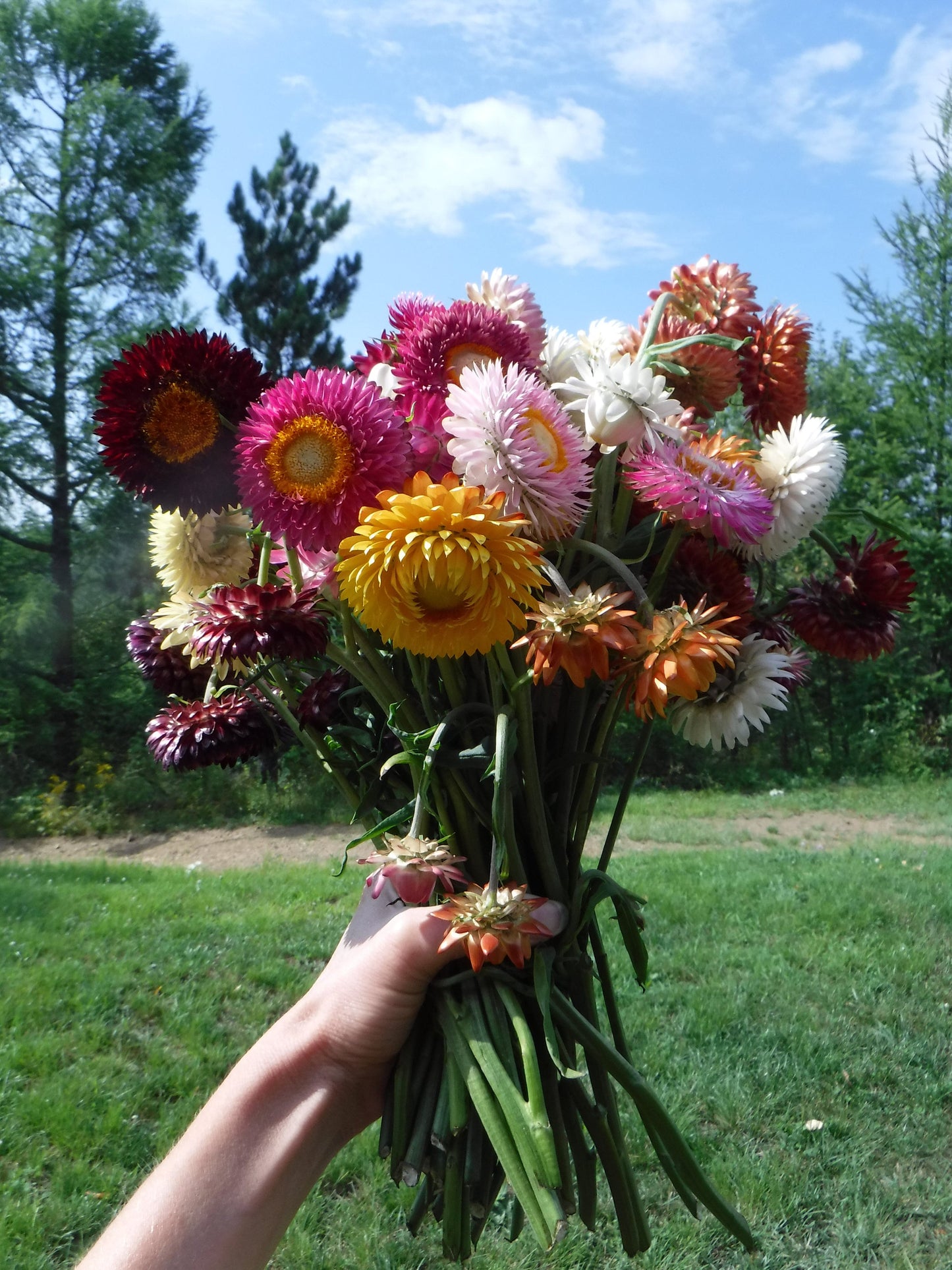 Dried Flower Stems, Dried Flower Arrangement, Dried Flower Bouquet, bohemian wildflower bouquet, Vase Filler, Floral Home Decor, Desk Decor